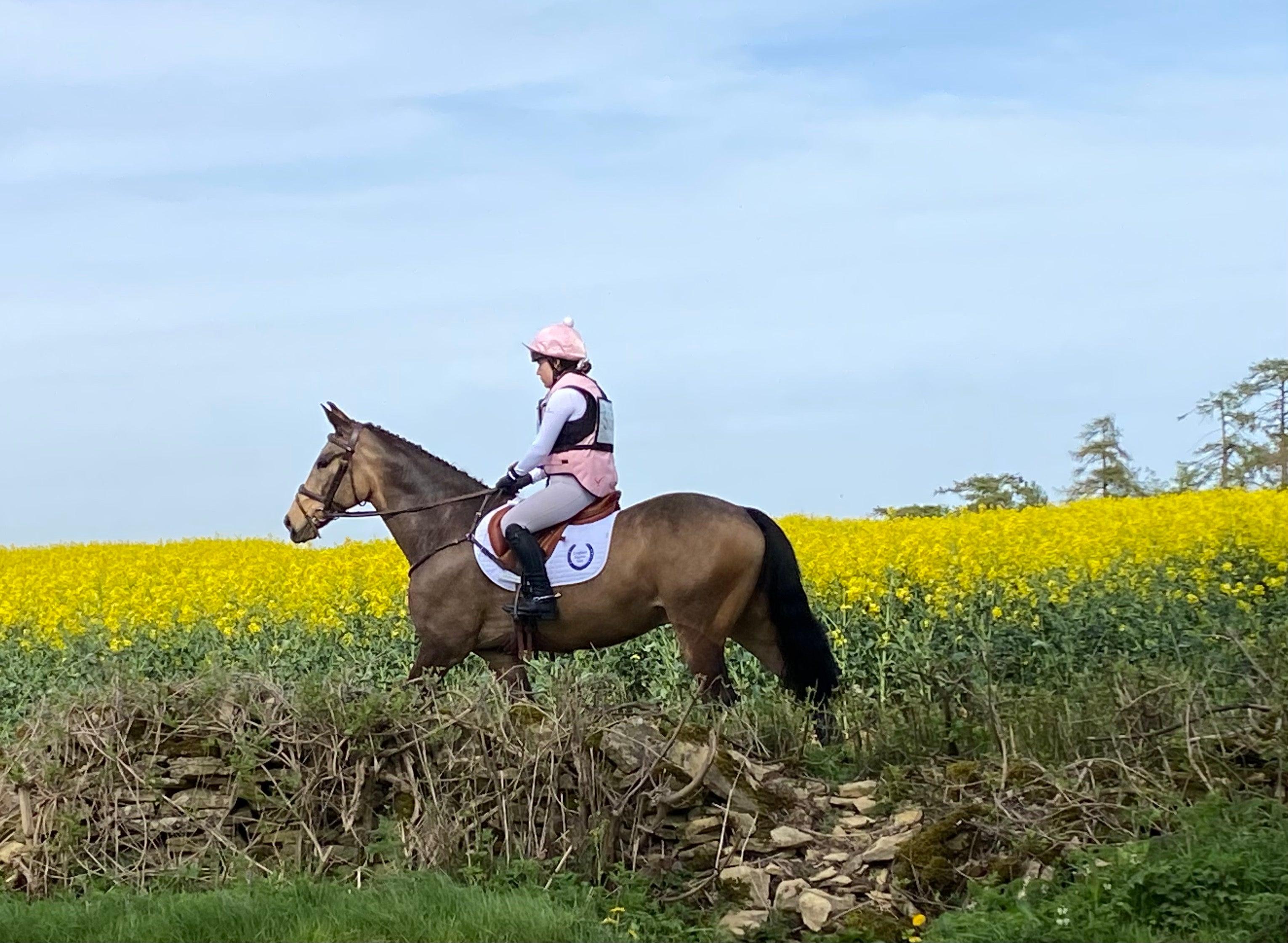 New Year Resolutions for Riders (that are fun!) - Mochara