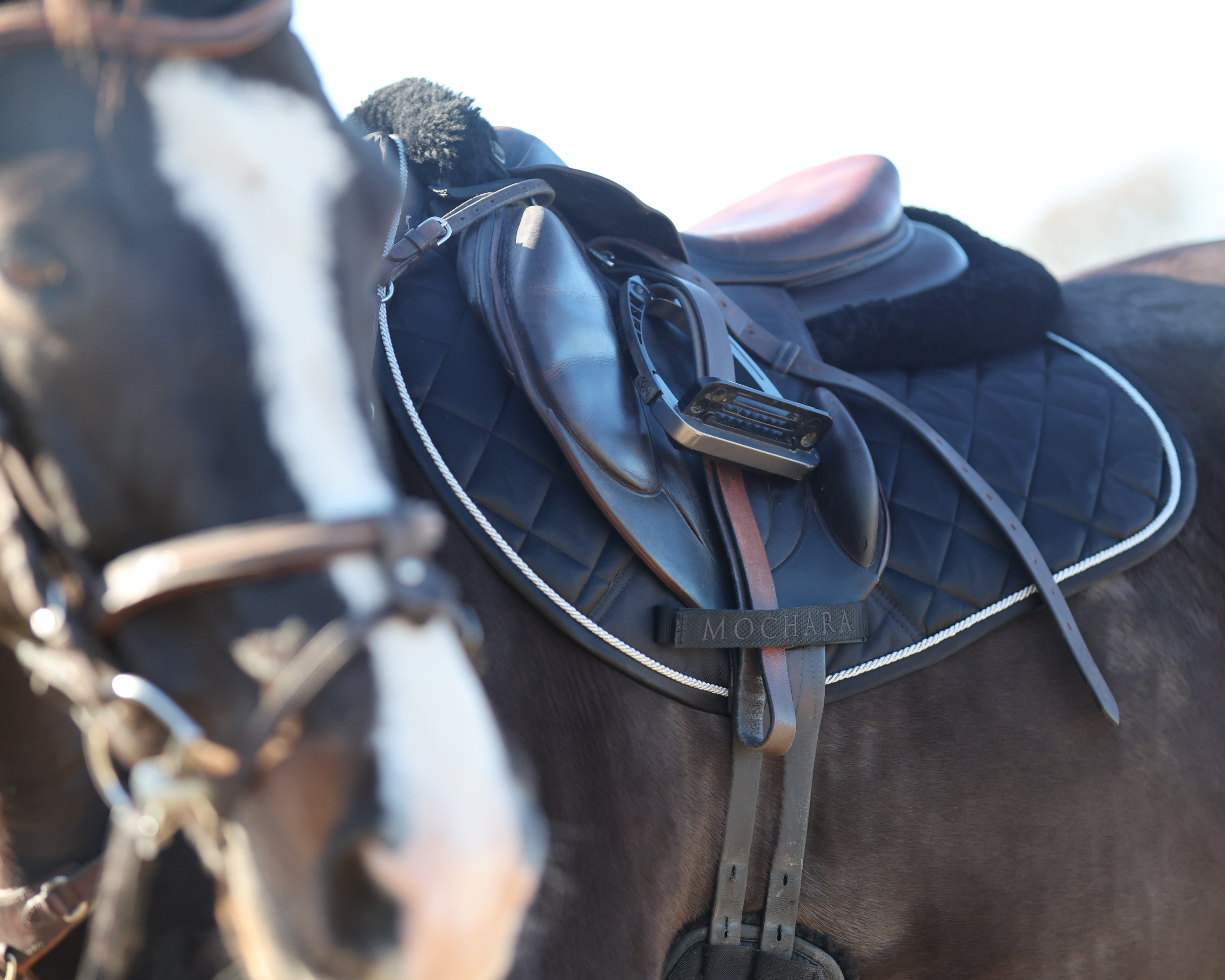 Mochara Saddle Pads