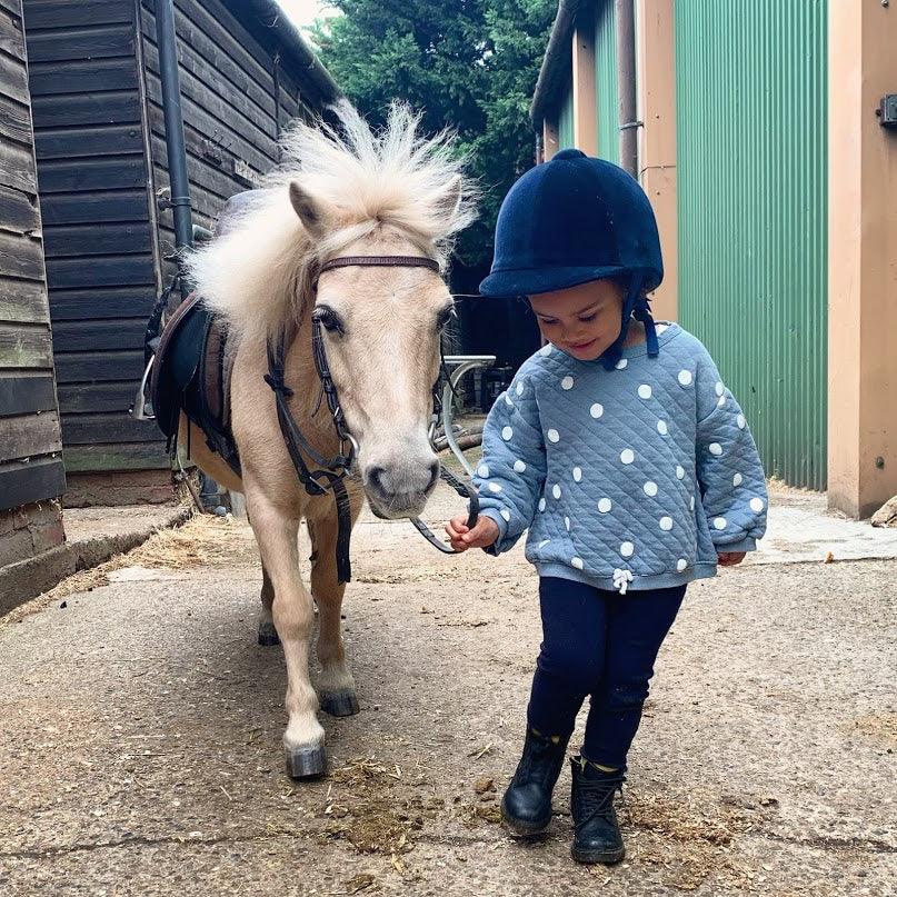 MOCHARA offer support to struggling riding school - Mochara
