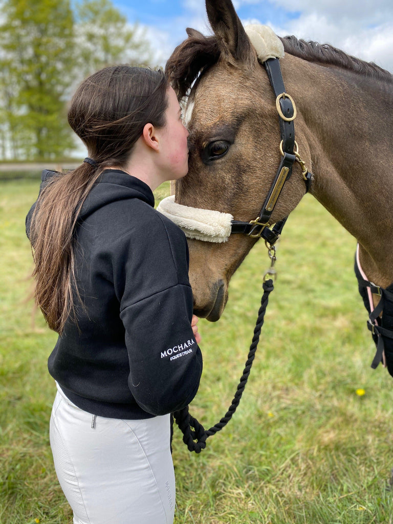 5 reasons why we love horses - Mochara